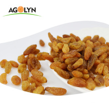 Chinese Xinjiang all types of dried seedless Red Raisins for sale